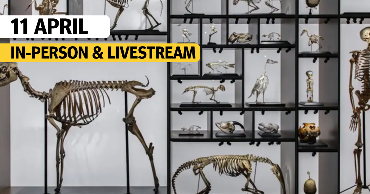 Animal Dissection Live