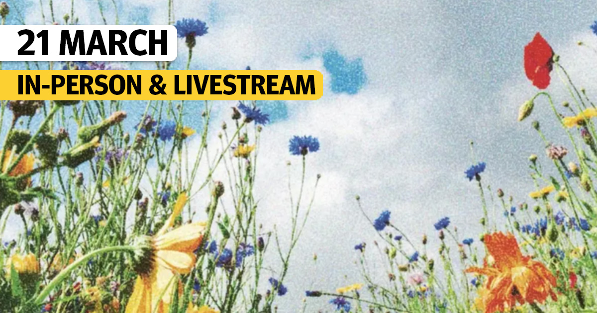 A journey into consciousness