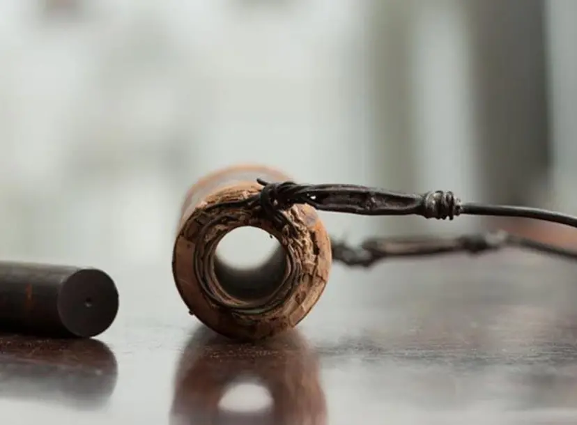 Michael Faraday's generator