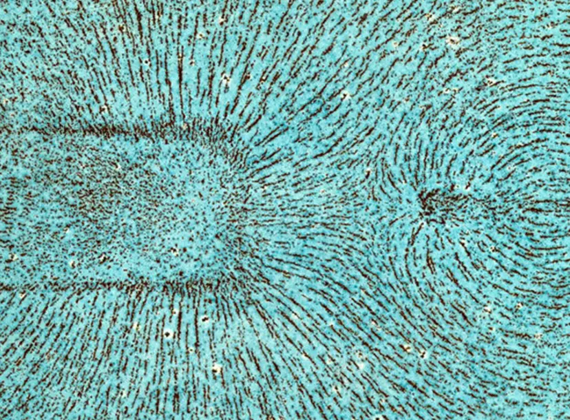 iron filings on a blue background