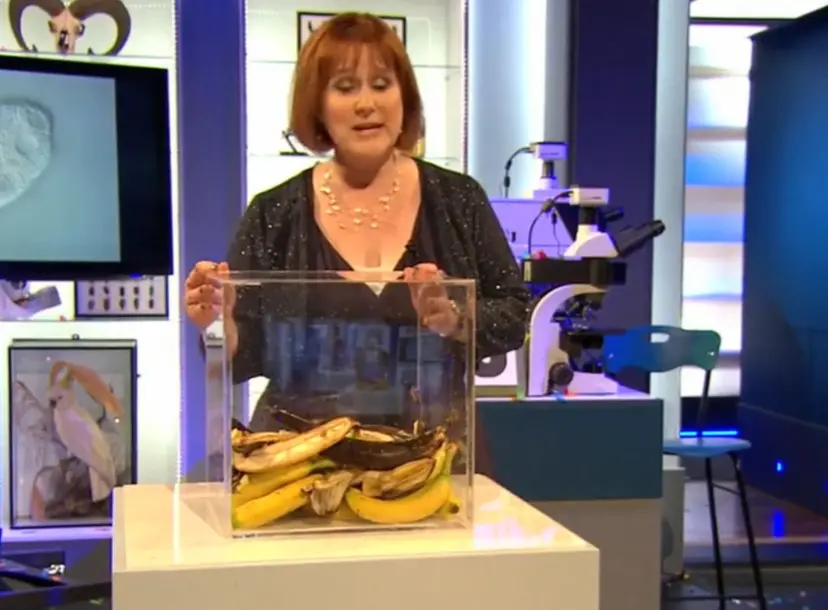 Alison Woollard standing behind a pile of rotten bananas, that are encased in a clear box