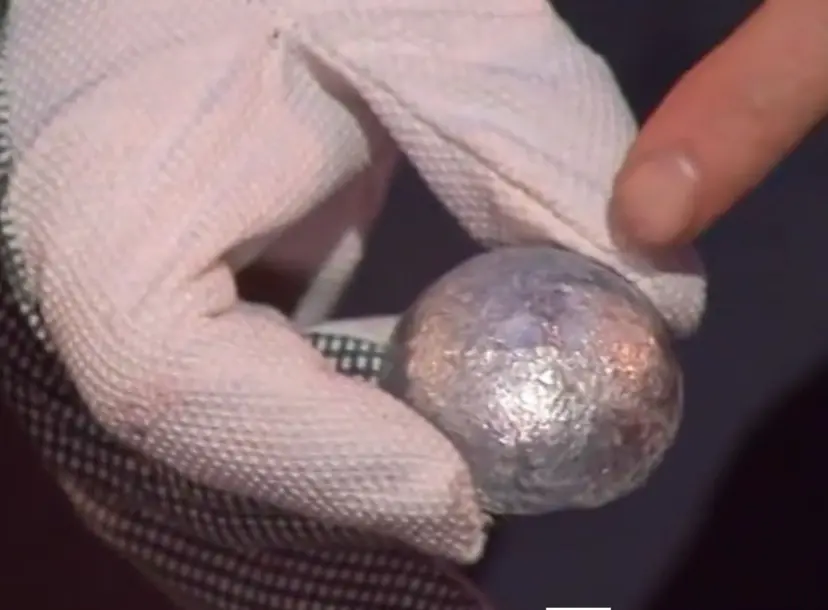 a white-gloved hand holding a silver dome of metal