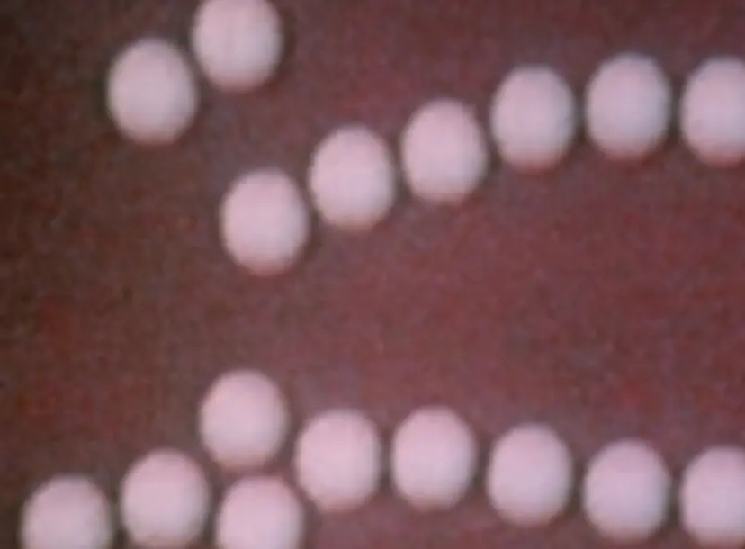 A still from the movement of a magnetic fluid and other film trims archival films 