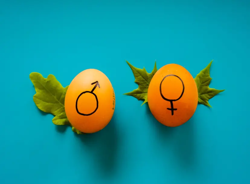 Male and female symbols on two eggs 
