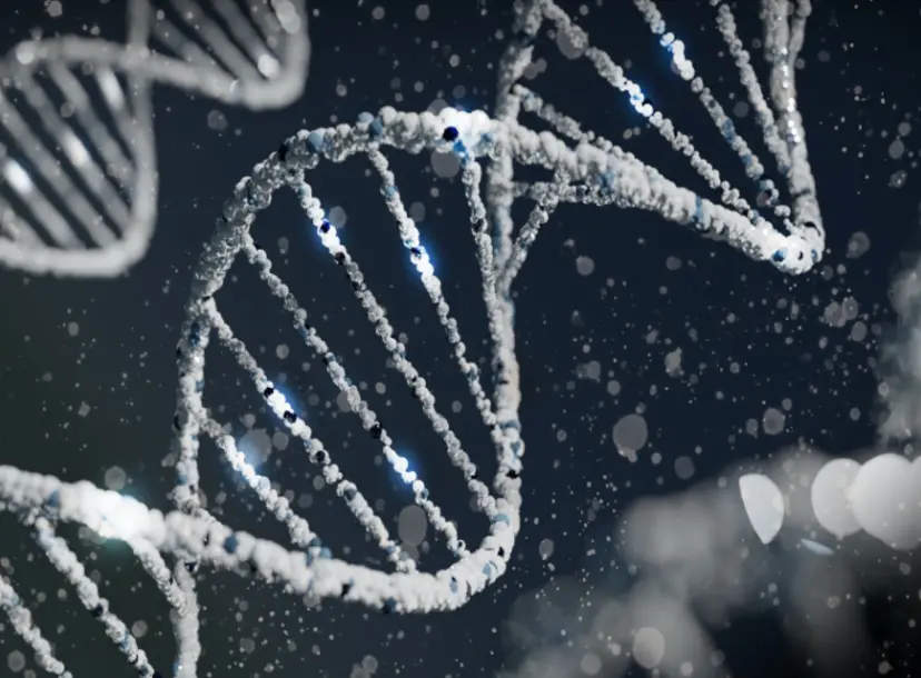 DNA helix