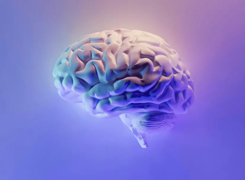 Colorful brain picture.