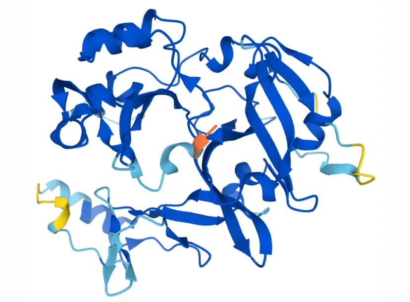  Human C12orf29 protein 3D structure predicted by AlphaFold