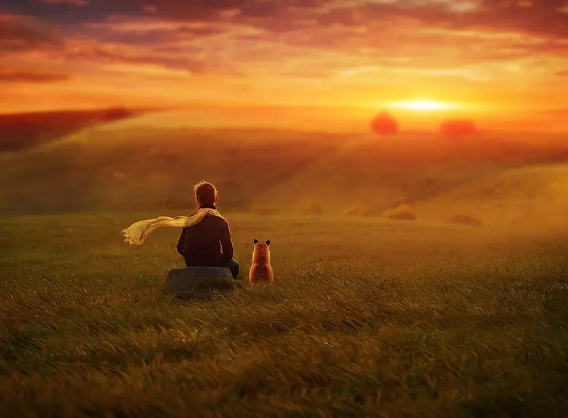 Image depicting people looking into the sunset