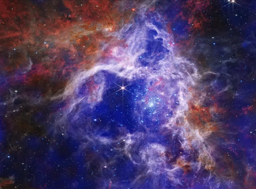 Composite image of the Tarantula Nebula: Royal blue and purple gas clouds interact with red and orange gas clouds, as specks of light and large gleaming stars peek through. The blue and purple patches represent X-ray data from Chandra. The most striking blue cloud is shaped like an upward pointing triangle at the center. Wispy white clouds outline this blue triangle. Inside this frame is a gleaming star with six long, thin spikes. Beside it is a cluster of smaller bright blue specks showing young stars.