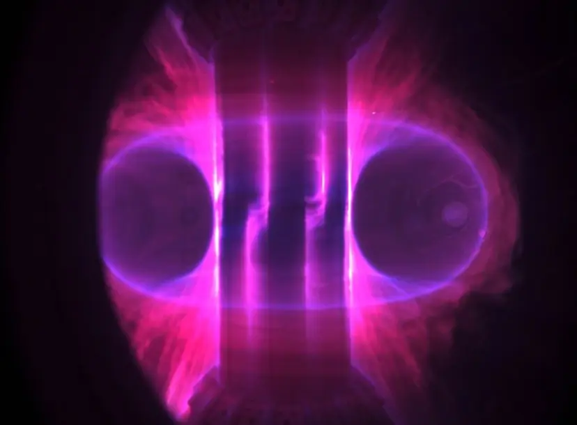 Image of the inside of a tokamak