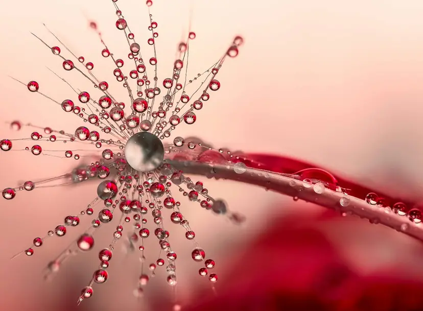 Abstract Image