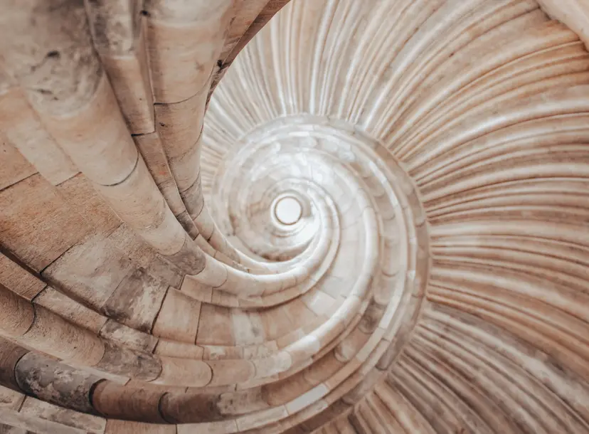 A close up of a shell which is showing the Fibonacci sequence in nature. 