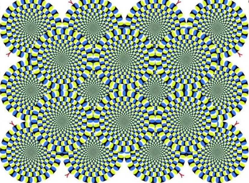 Illusion where concentric circles look like they are moving