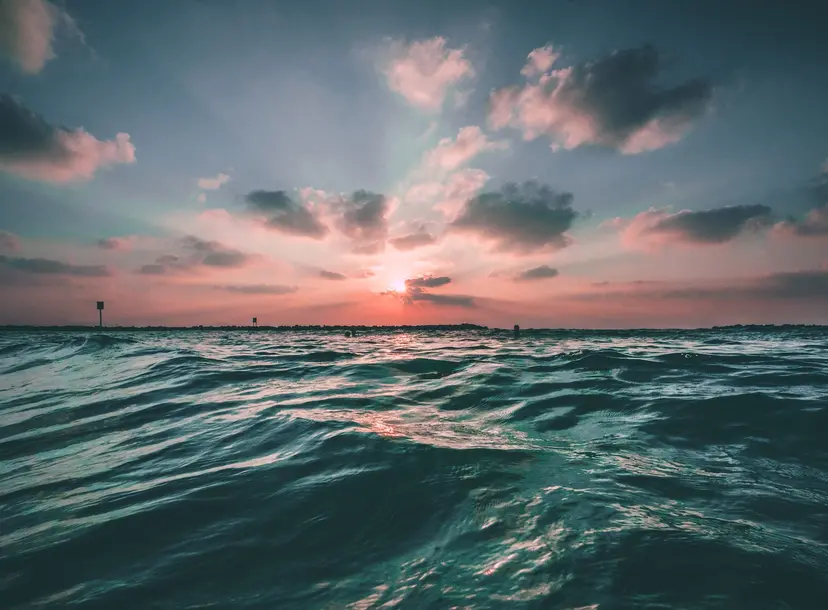 A view of the ocean, with a pink sunset just above the horizon.