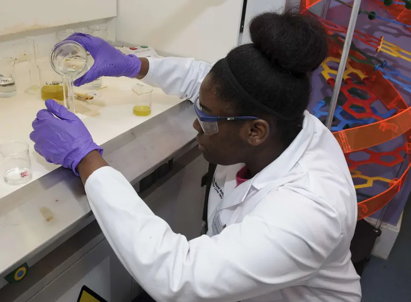 A student pouring liquids in a fume cupboard
