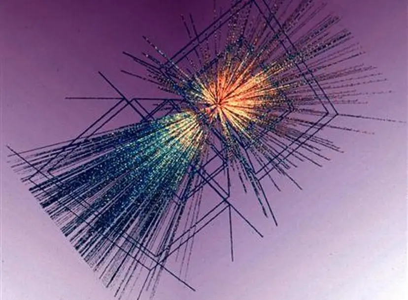 tracks of particles collision