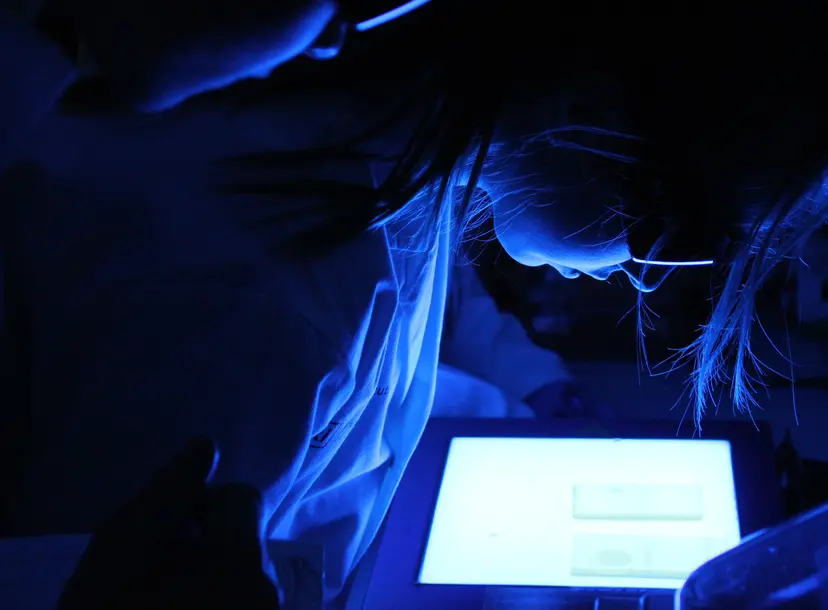 Student viewing results on a blue light viewer