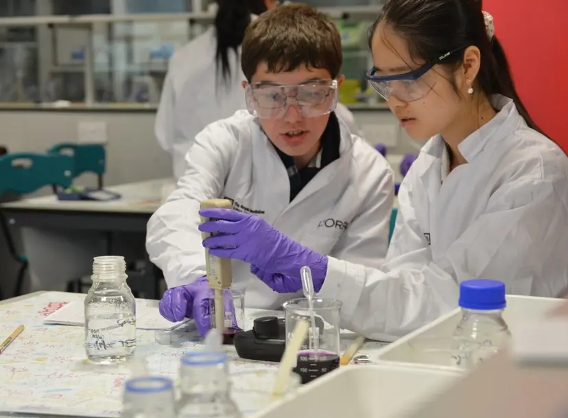 Students make colour using fruit peel