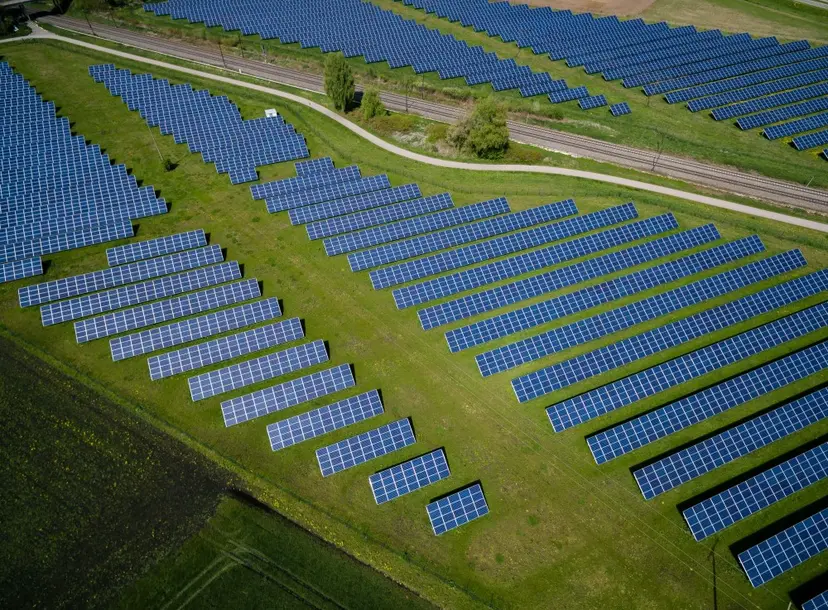 solar panels line a grassy floor