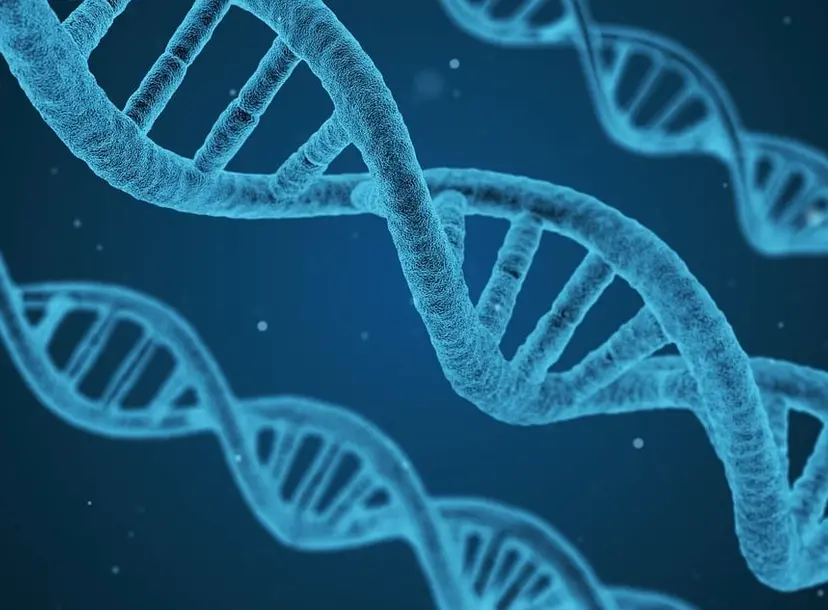 Image of DNA