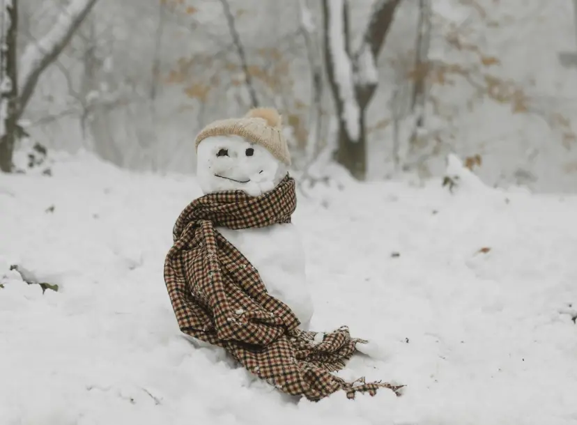 Snowman wrapped in scarf and hat