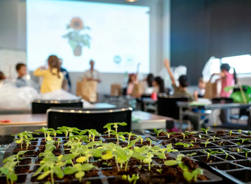 Room of enthusiastic children with their hands up and behind them a tray of seedlings