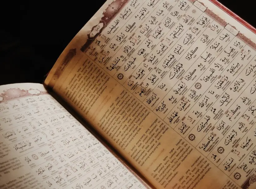 A hand is holding an open book