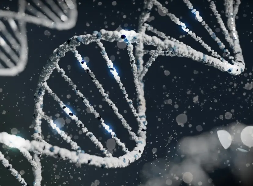 DNA double helix
