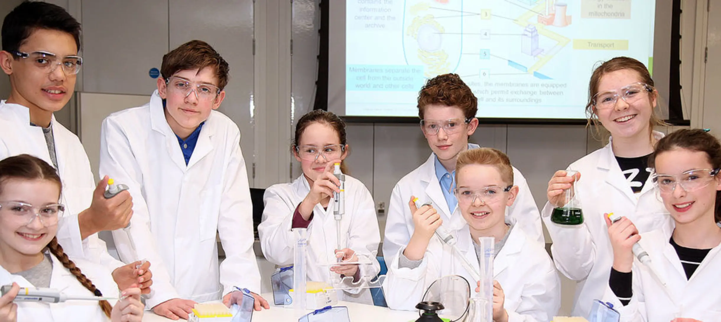 UK Baylab in Reading