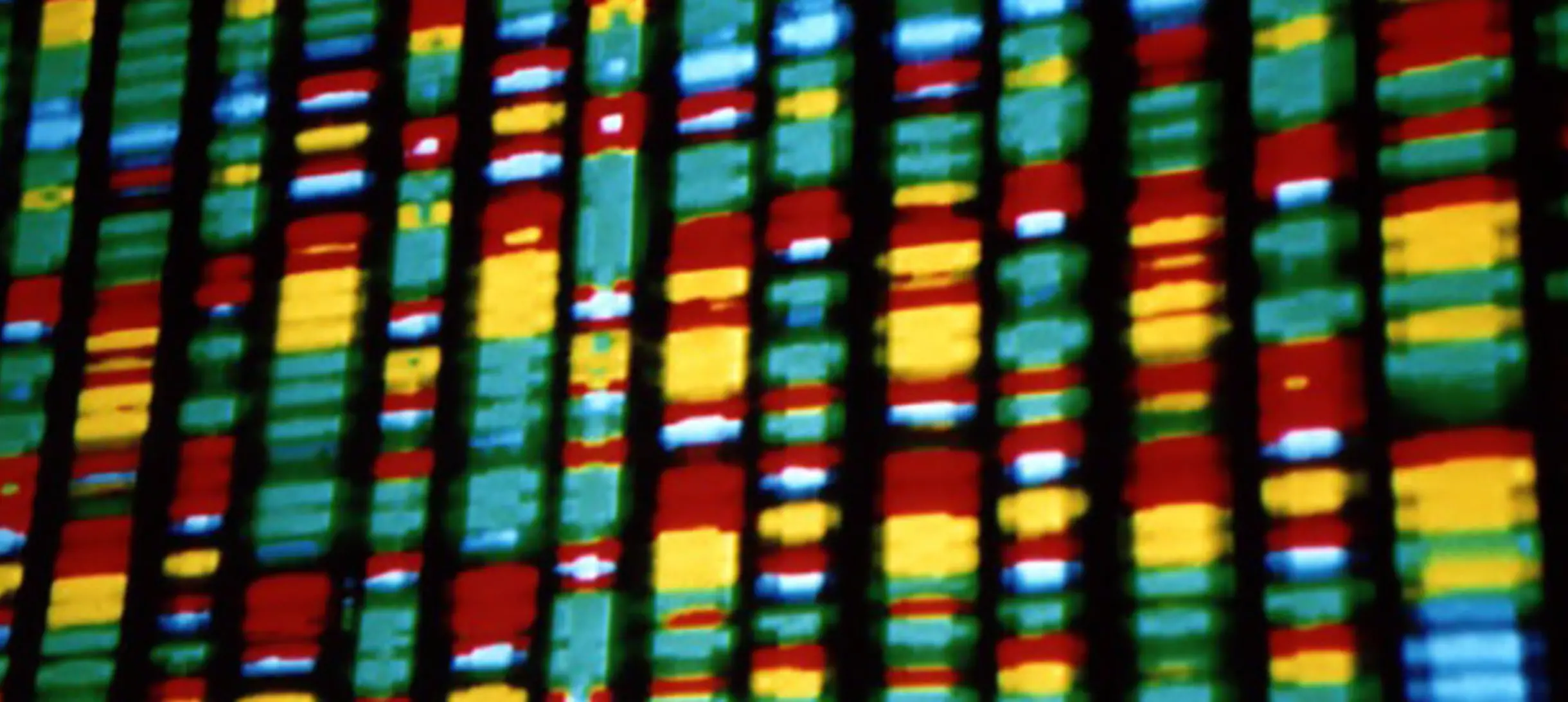 DNA representation Credit: Andy Leppard via Flickr