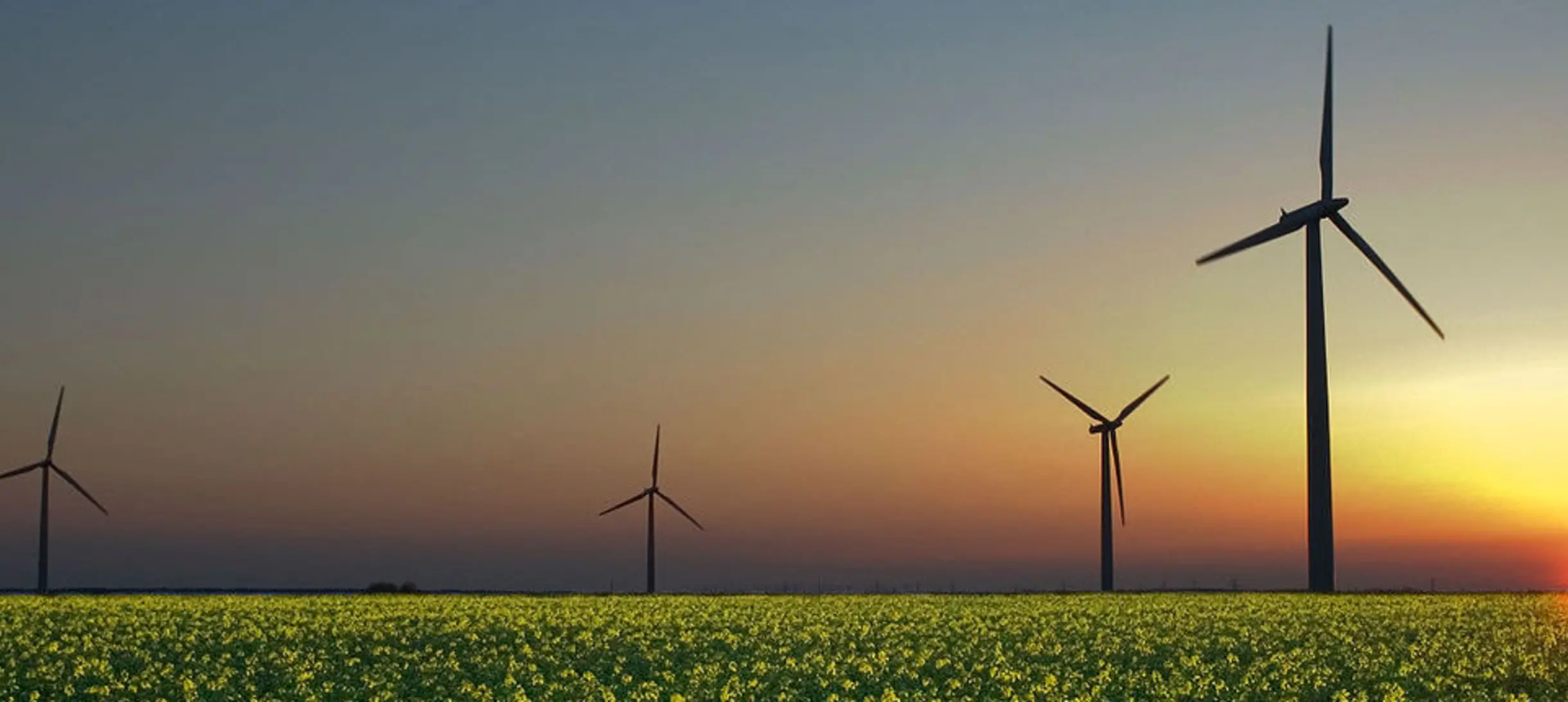 Wind turbines in a rapeseed field in Sandesneben, Germany. Credit: Wikimedia commons