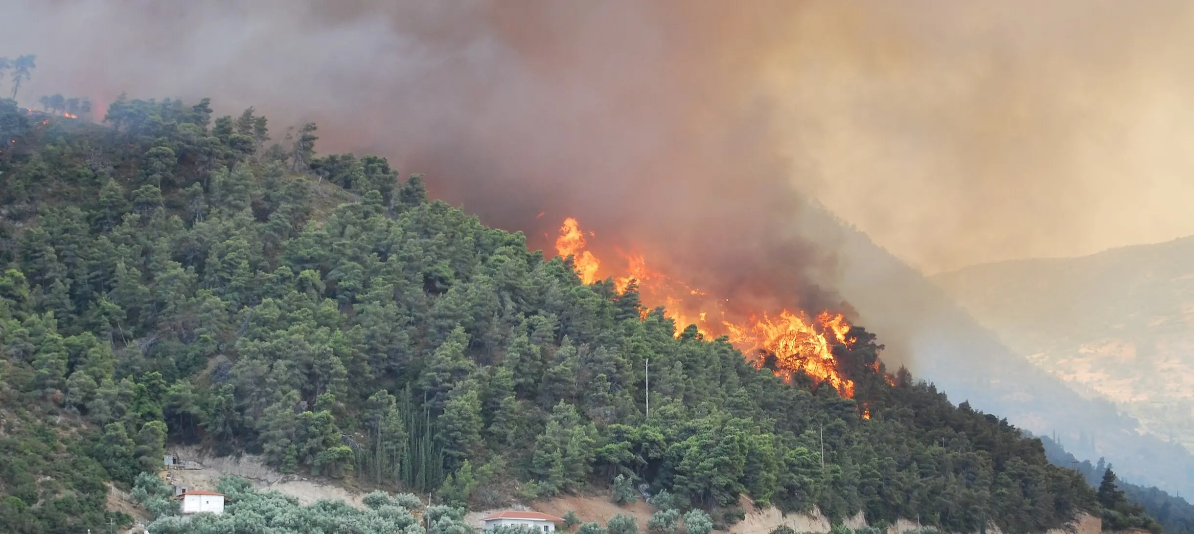 forest fire from a distance