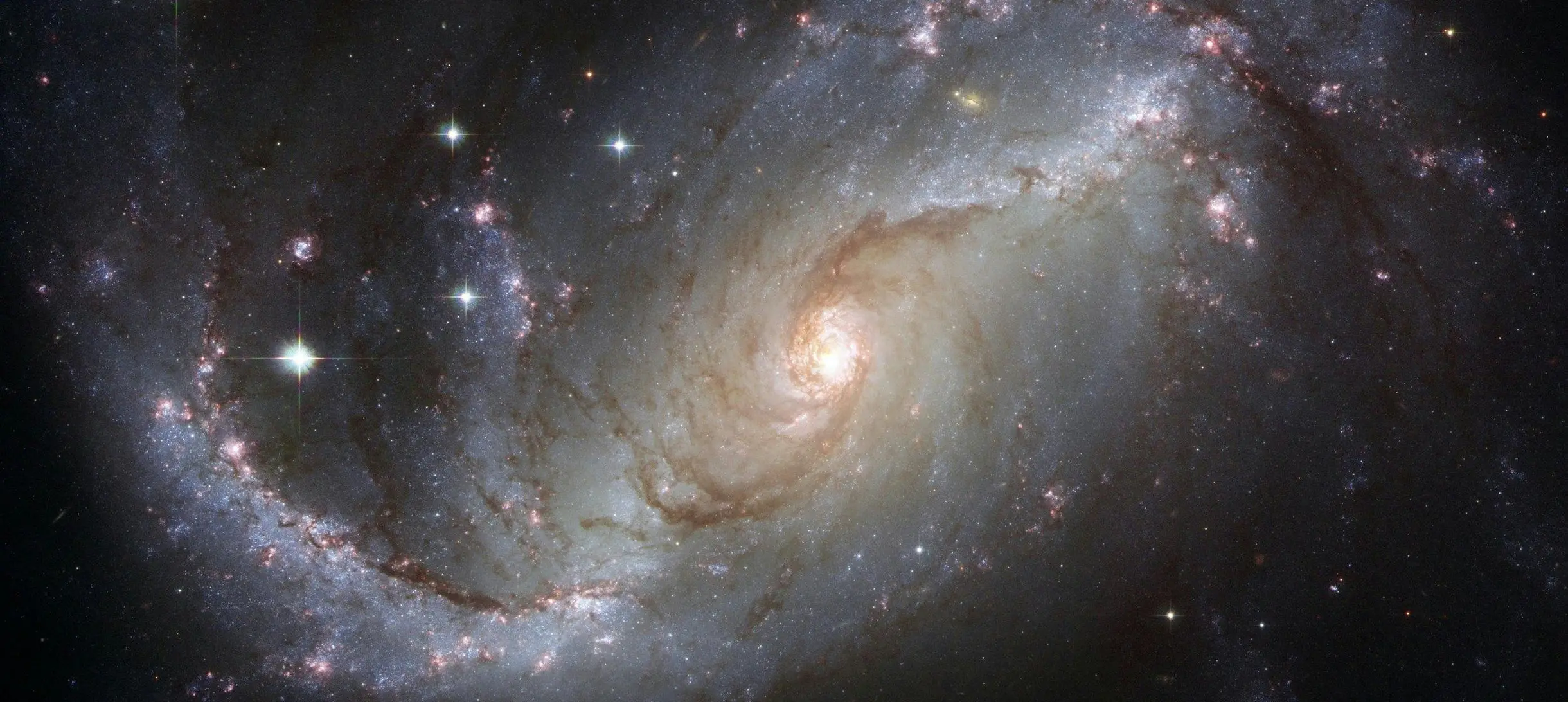 A  view of a spiral galaxy, NGC 1672, unveils details in the galaxy’s star-forming clouds and dark bands of interstellar dust. 