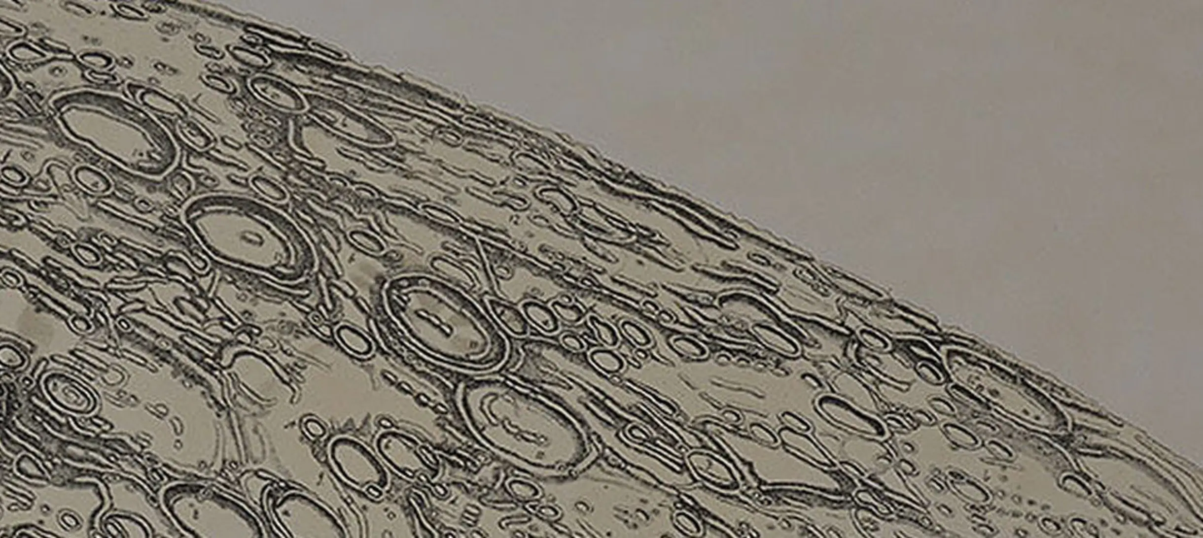 



An illustration of the moon from Chart der Gebirge Des Mondes, 1878.



