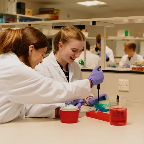 Schoolchildren in the YSC