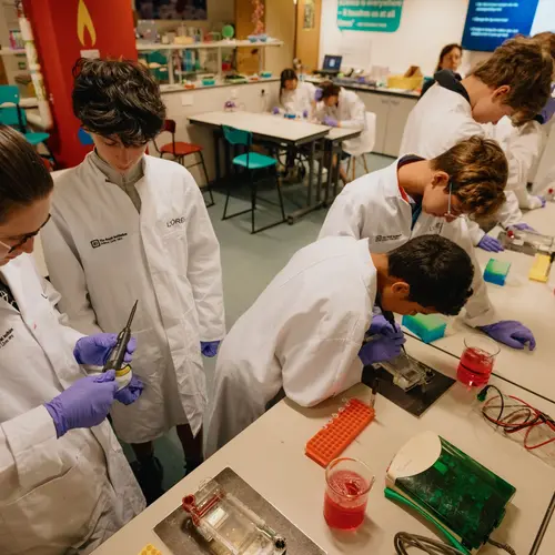 Schoolchildren in the YSC