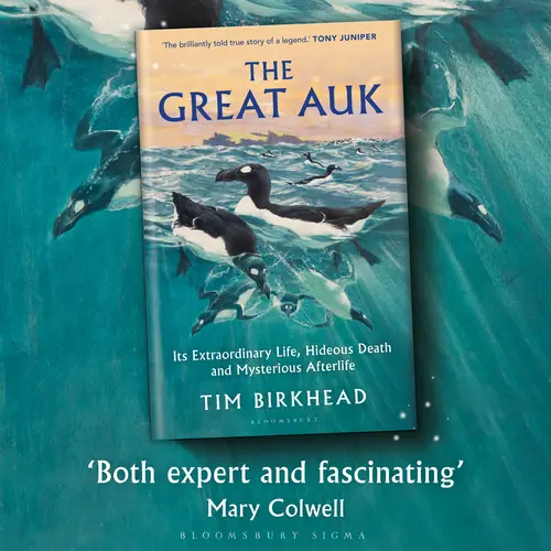 The Great Auk book cover