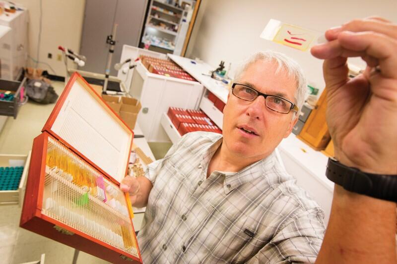 A man with white hair and glasses is holding up a microscope slide to the light.