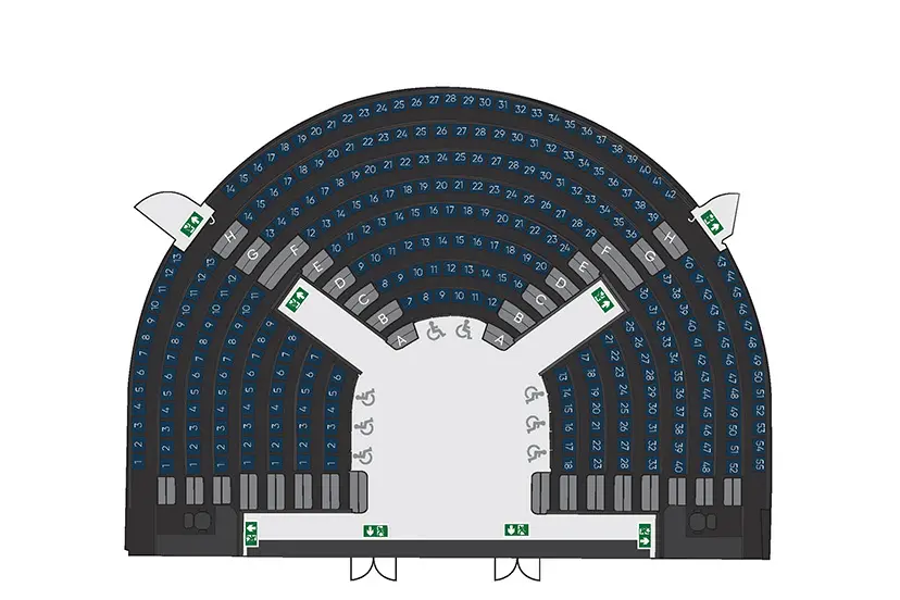 Royal Institution theatre seating plan