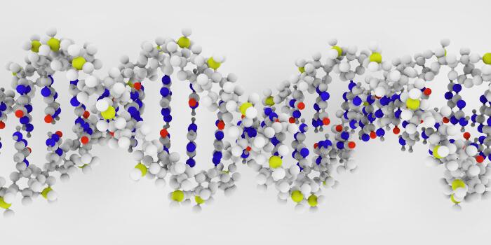 A DNA double helix digital model