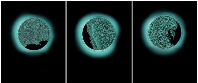 Three images of green/blue bioluminescent circles