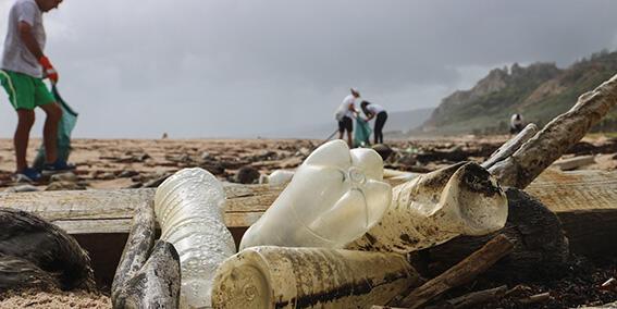 A pile of plastic bottles in the foreground. Behind it, we can see people picking litter on a beach.