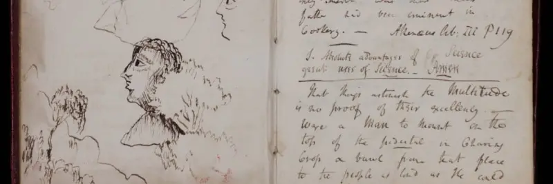 A section of two pages of Davy's notebooks, showing his drawings. We can see trees and a person's head.