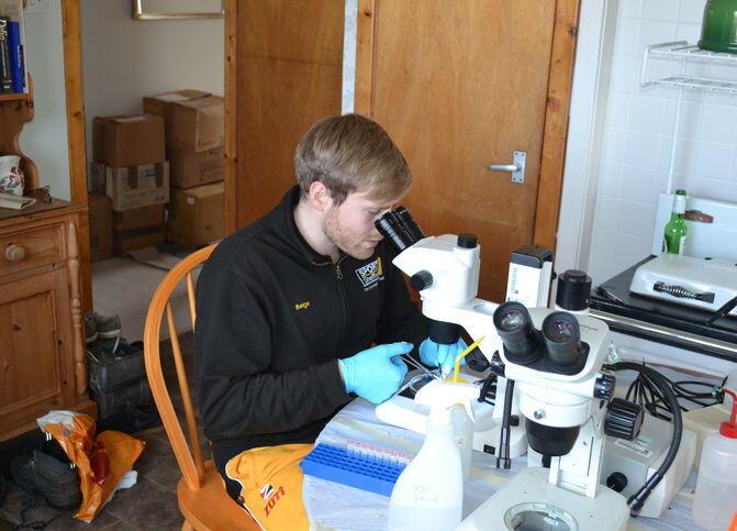 Jim working at a microscope
