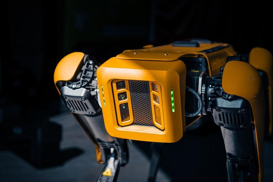 A front view of an evil looking orange quadrupedal robot