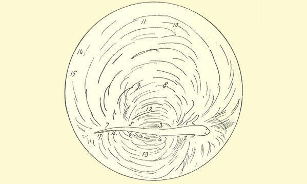Faraday's sketch of a knifefish, from his 1838 diaries.