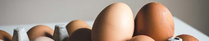 eggs in a carton