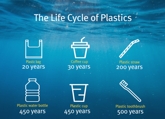 The life cycle of plastics infographic