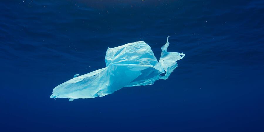 A white plastic bag floating in water