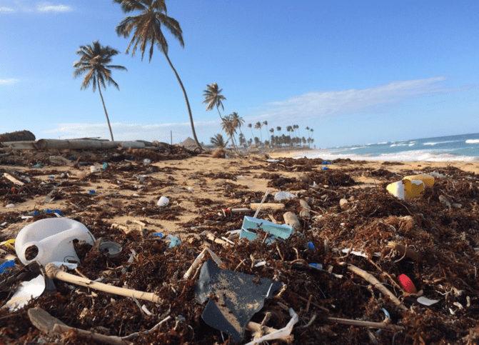 Plastic waste on a beach